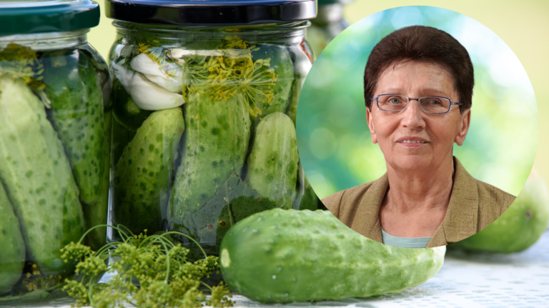 Lucyna Wrzosek poleca przepis na ogórki. Dzięki niemu zawsze wychodzą pyszne!